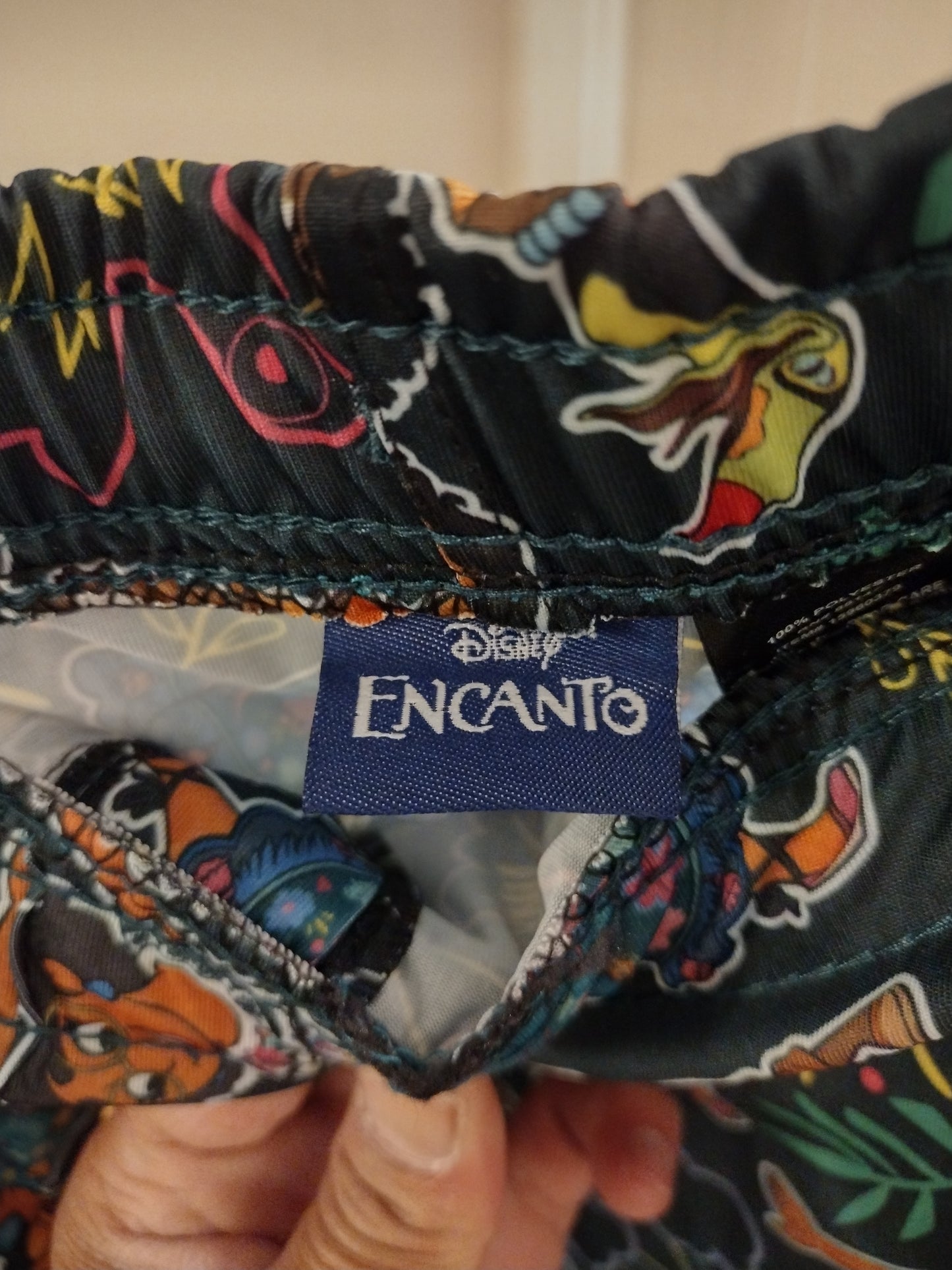 Disney Adult Encanto Allover and Drawings Pajama Pants
