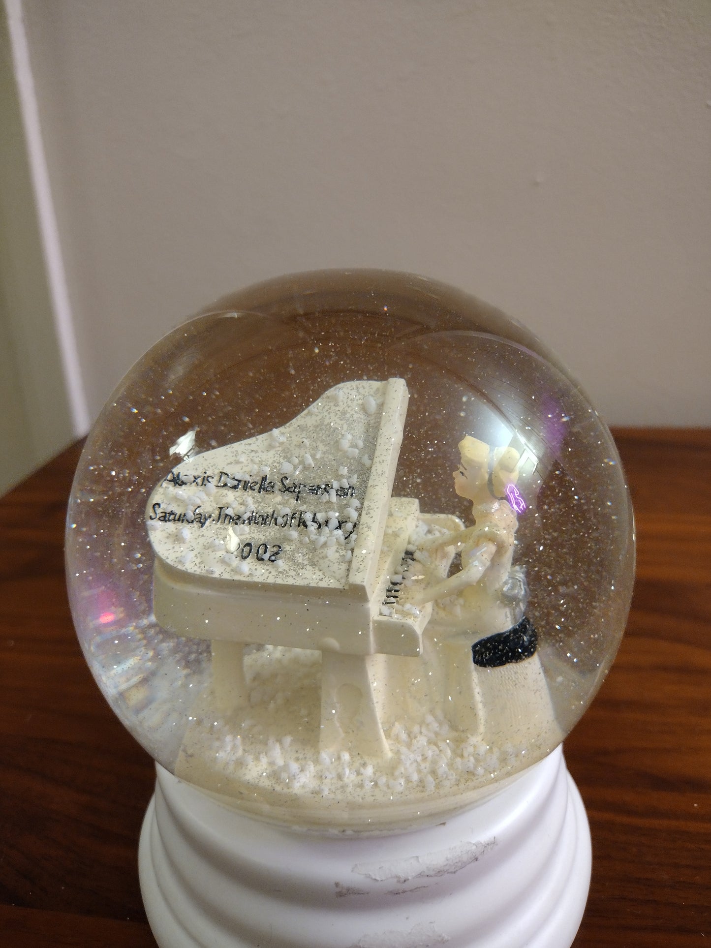 Glass Snow Globe in Collectibles - Alexis Daniella &nbsp;Saperstein - Saturday The Ninth Of February 2002